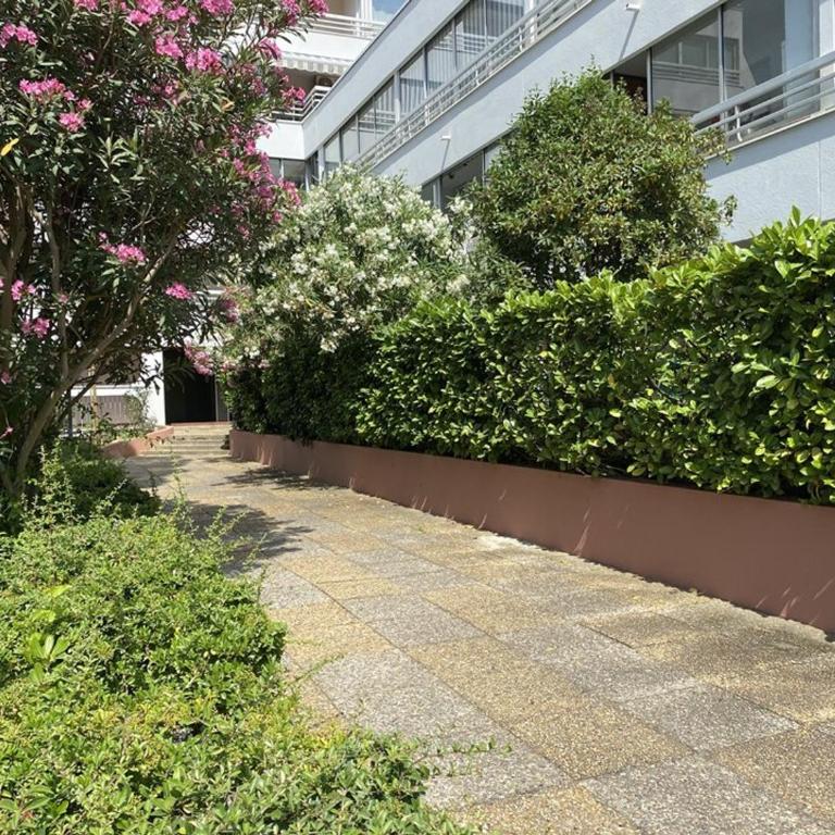 Studio coquet avec piscine - 2 pers. - FR-1-874-46 - Studio - 12