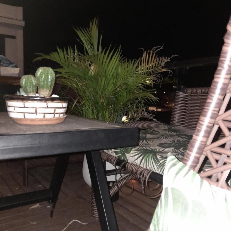 Apart hotel GAVA - Apartamento con terraza - 5