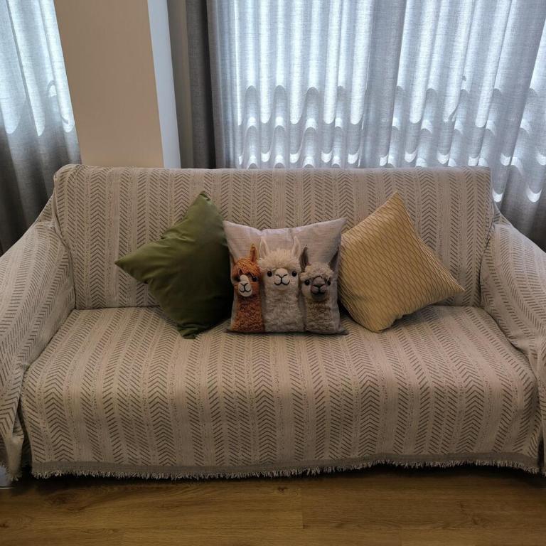 Nice and cozy Near the Puno terminal - One-Bedroom Apartment - 28