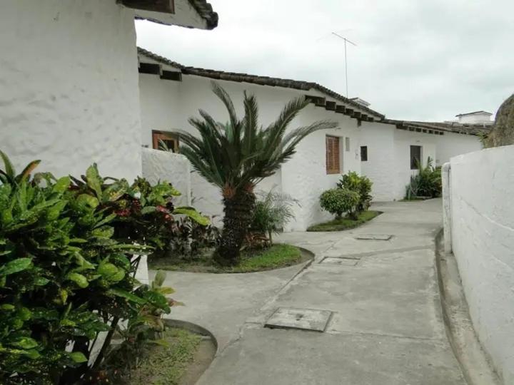Conjunto Alcázar del mar - Two-Bedroom Apartment - 36
