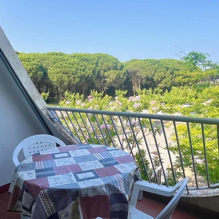 Studio climatisé au calme, terrasse - FR-1-874-68 - Estudio - 3