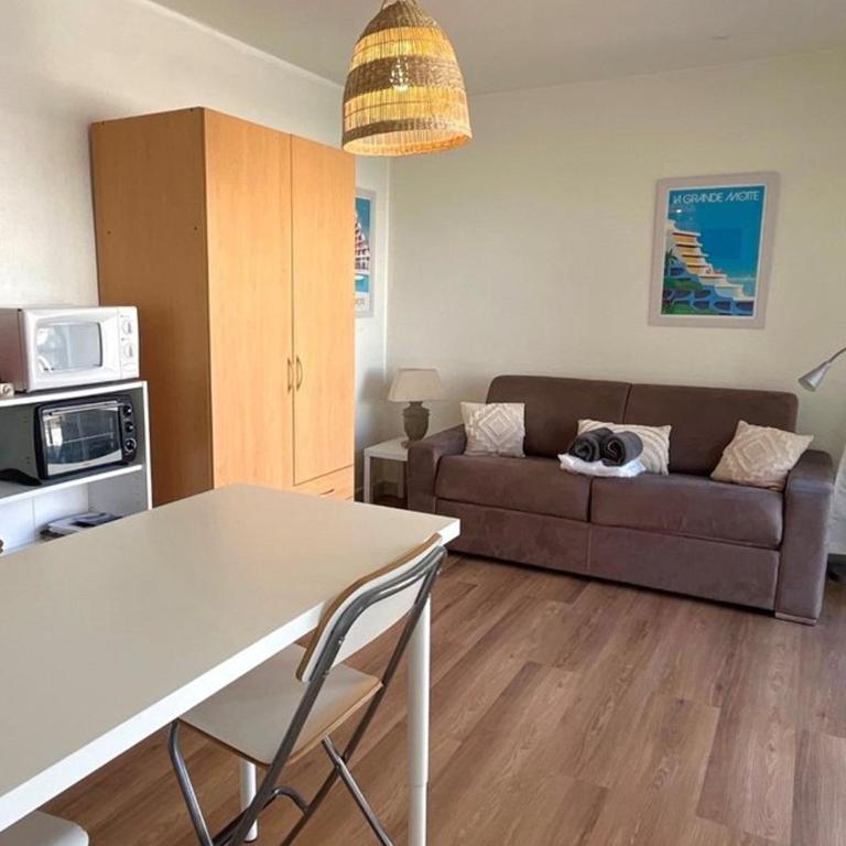 Studio coquet climatisé - 2 pers., centre-ville - FR-1-874-64 - Studio - 1