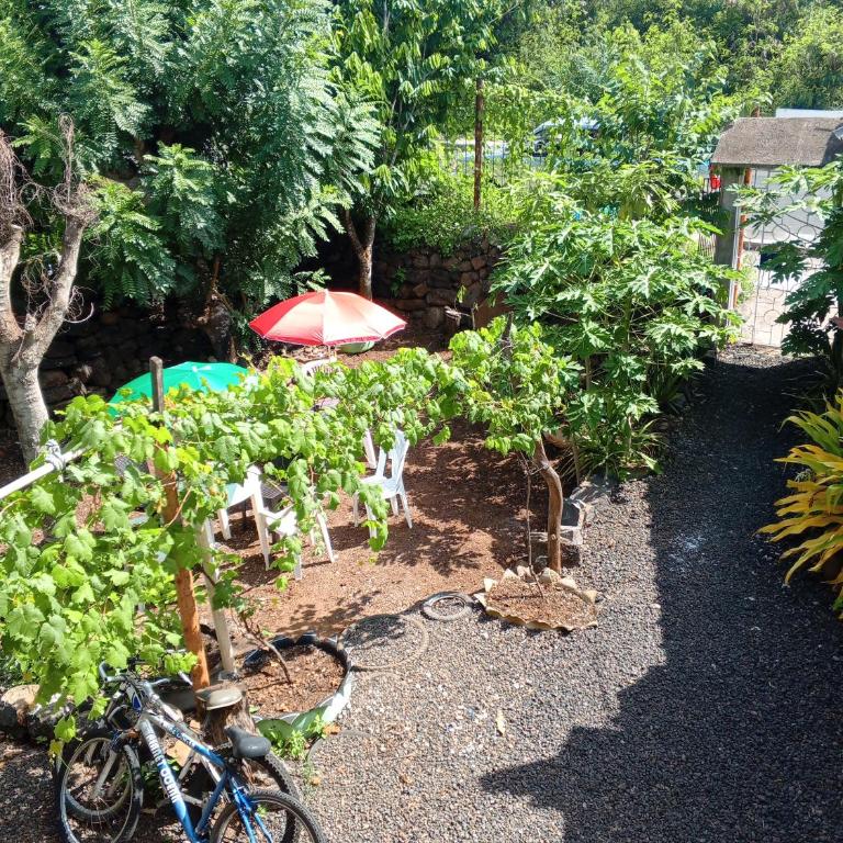 MINISUITE para 2, CASA OASIS GALAPAGOS - One-Bedroom Apartment - 15