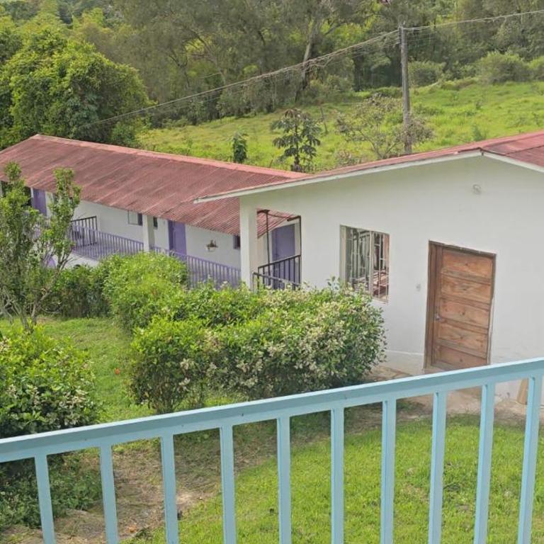 Hospedaje campestre - Apartamento de 1 dormitorio - 13