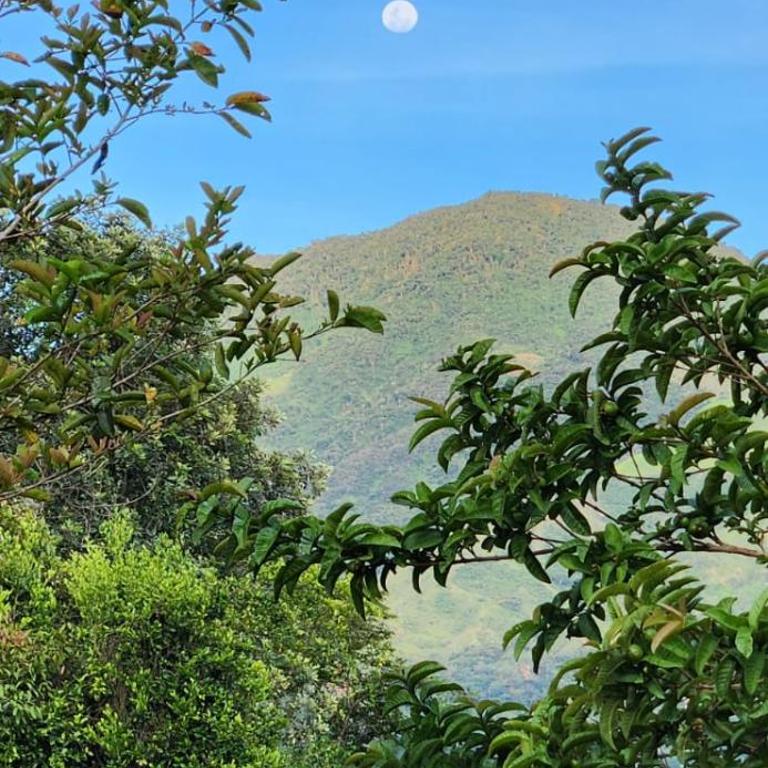 Hermosa Cabaña en Barbosa Antioquia - One-Bedroom House - 21