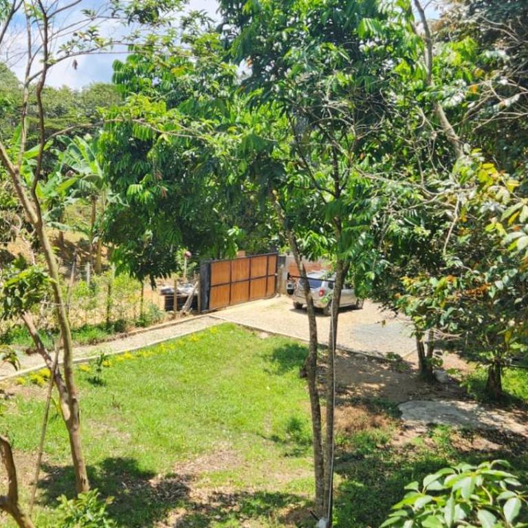 Hermosa Cabaña en Barbosa Antioquia - One-Bedroom House - 18