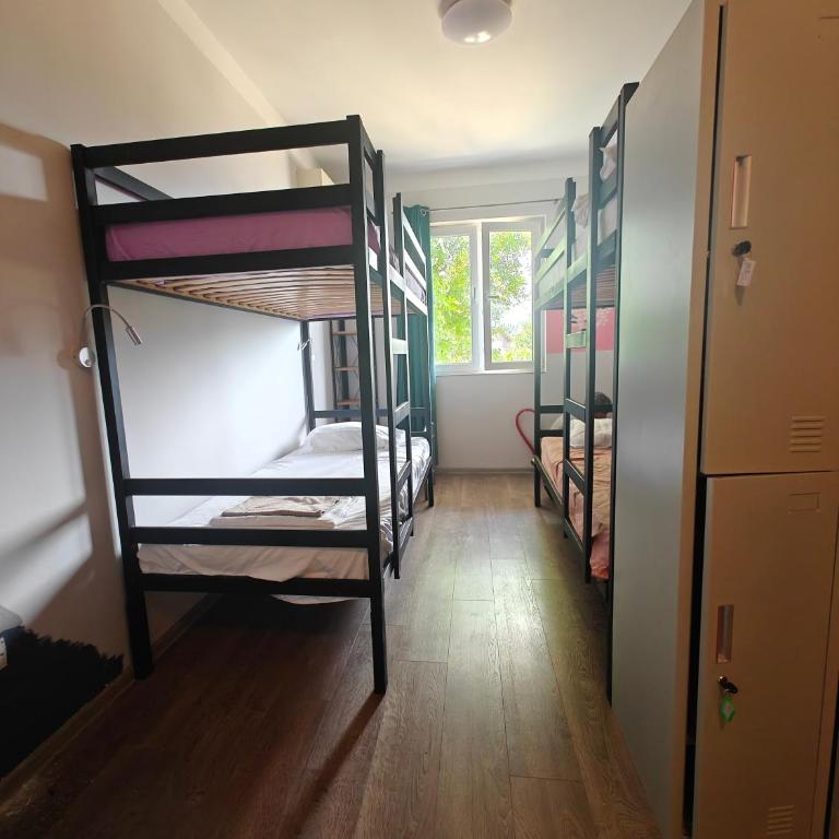 The High Hostel - Bed in 6-Bed Female Dormitory Room - 10