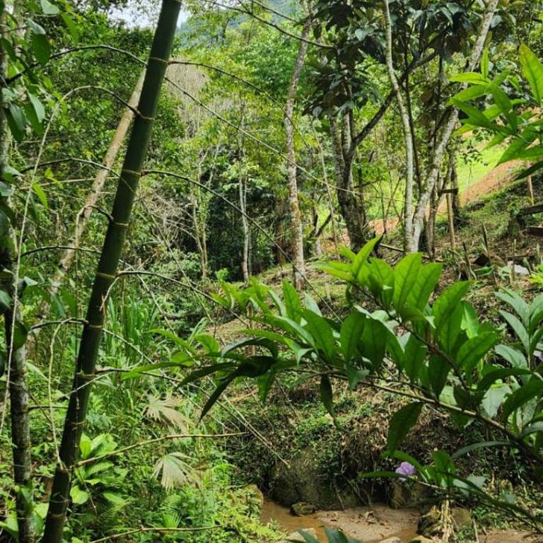 Hermosa Cabaña en Barbosa Antioquia - One-Bedroom House - 16