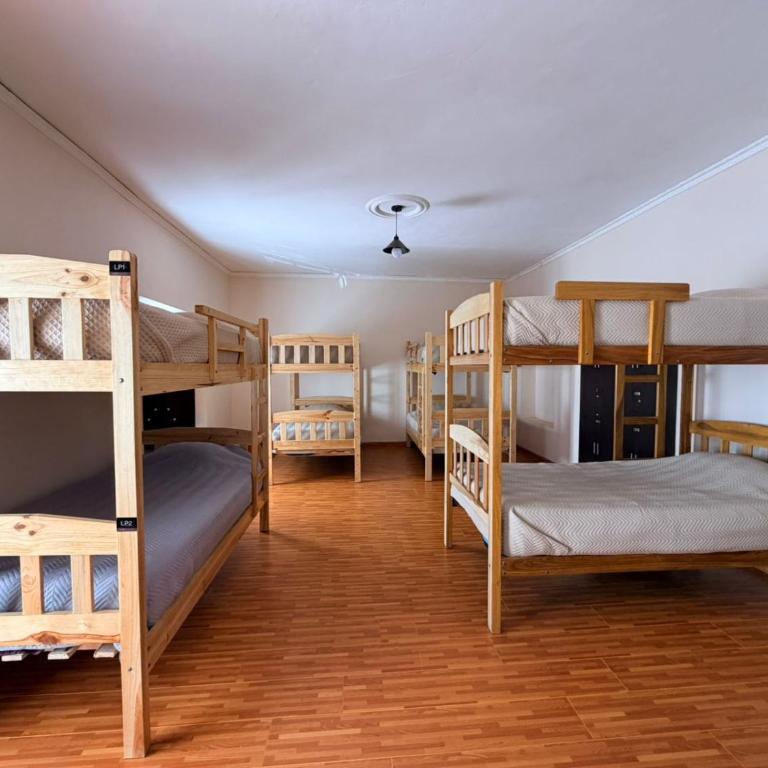 Casa Grau - Bunk Bed in Mixed Dormitory Room - 1