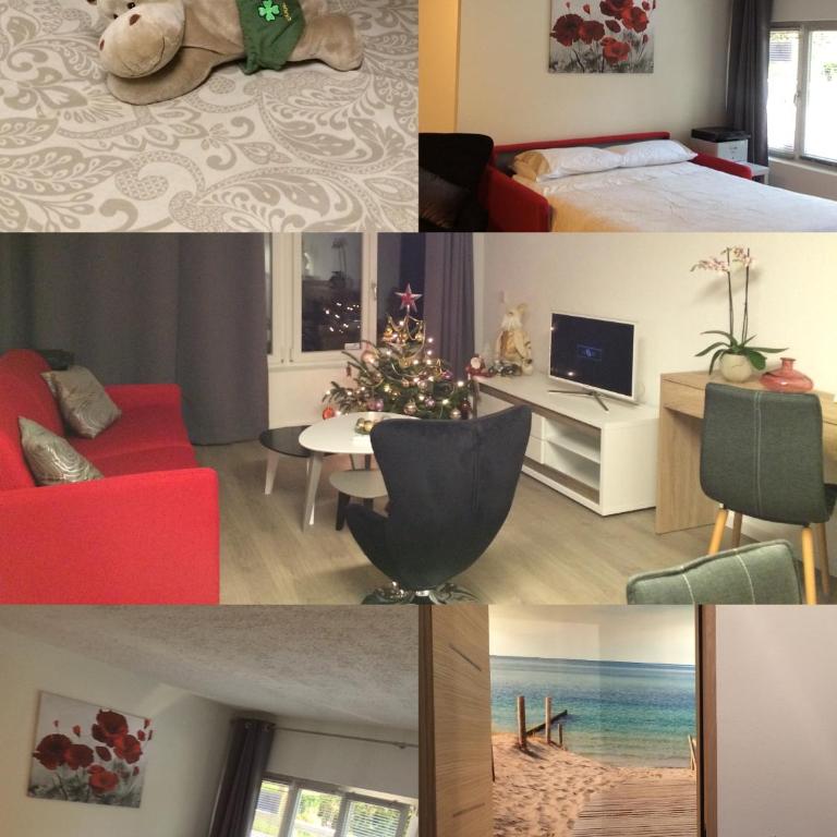 Point Cardinal - Appartement - Rez-de-Chaussée - 37