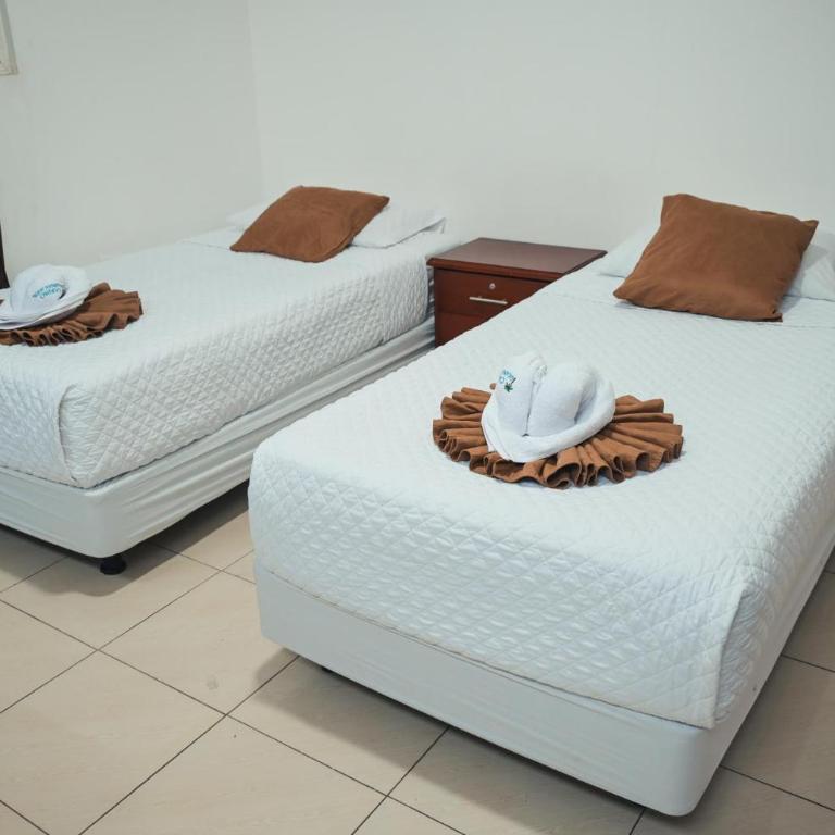 Carpao Lodging Galapagos - Double Room with Balcony - 4