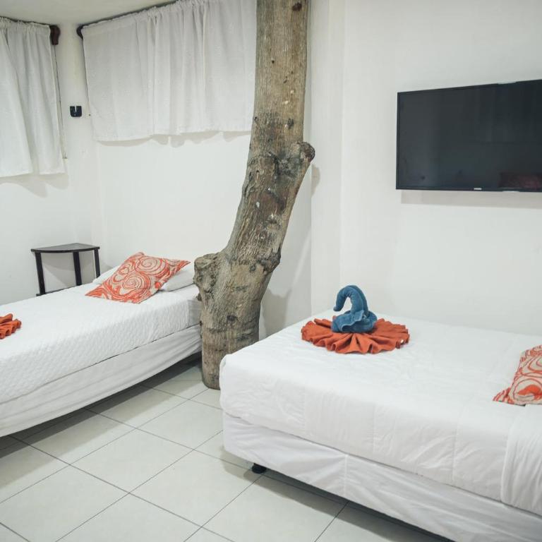 Carpao Lodging Galapagos - Classic Quadruple Room - 3