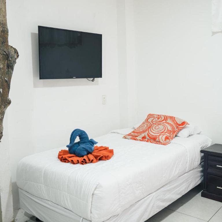 Carpao Lodging Galapagos - Classic Quadruple Room - 4