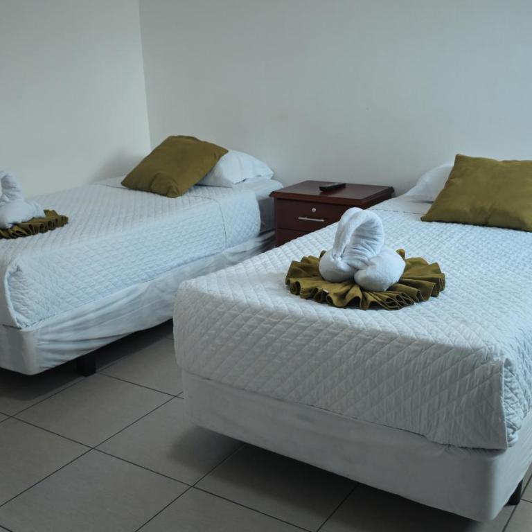 Carpao Lodging Galapagos - Twin Room - 2