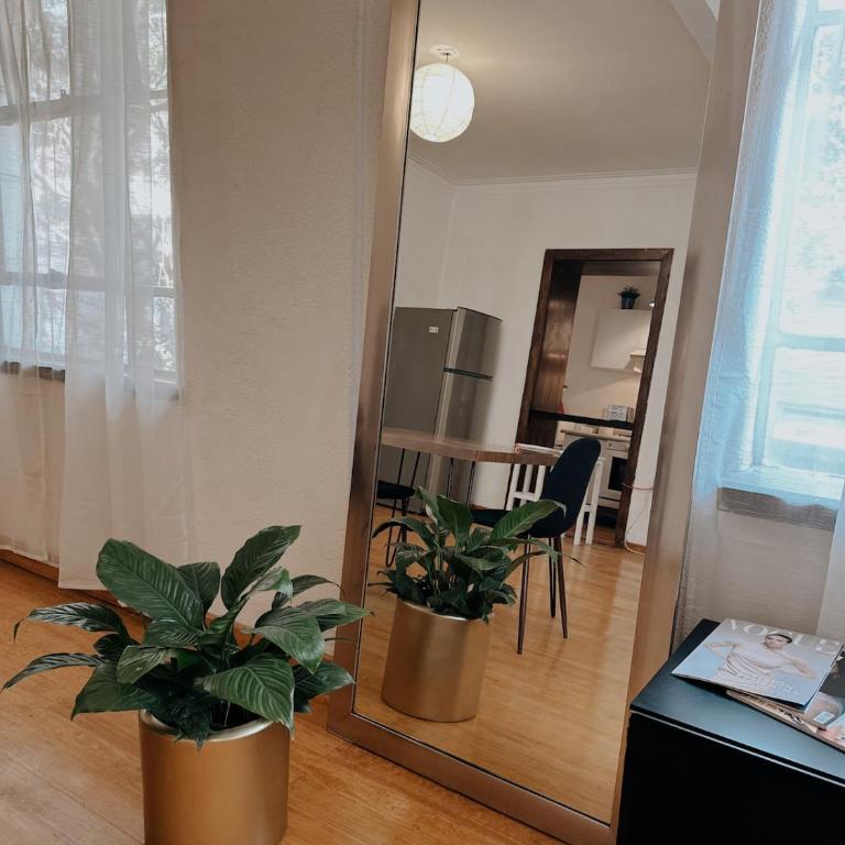 Gran Espacio a pasos del Centro Historico - One-Bedroom Apartment - 15
