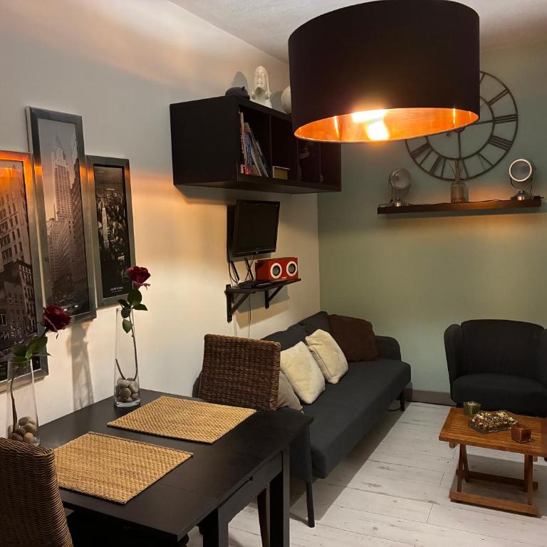 Studio tout équipé, emplacement idéal - One-Bedroom Apartment - 1