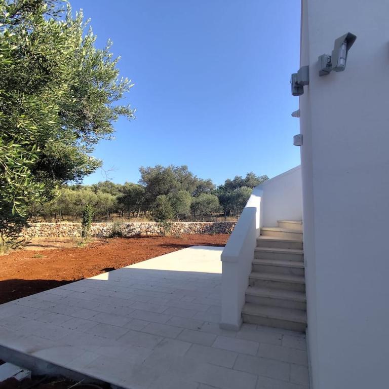 L'ulivo ritorto - Villa con 2 Camere da Letto - 9