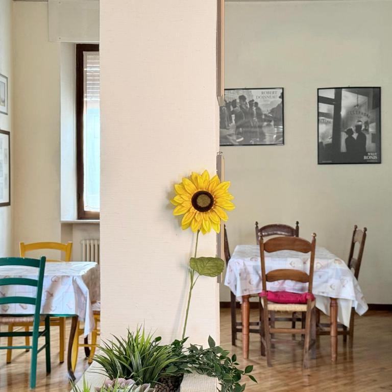 A47 Ancona, quadrilocale in pieno centro - Appartamento con 3 Camere da Letto - 9