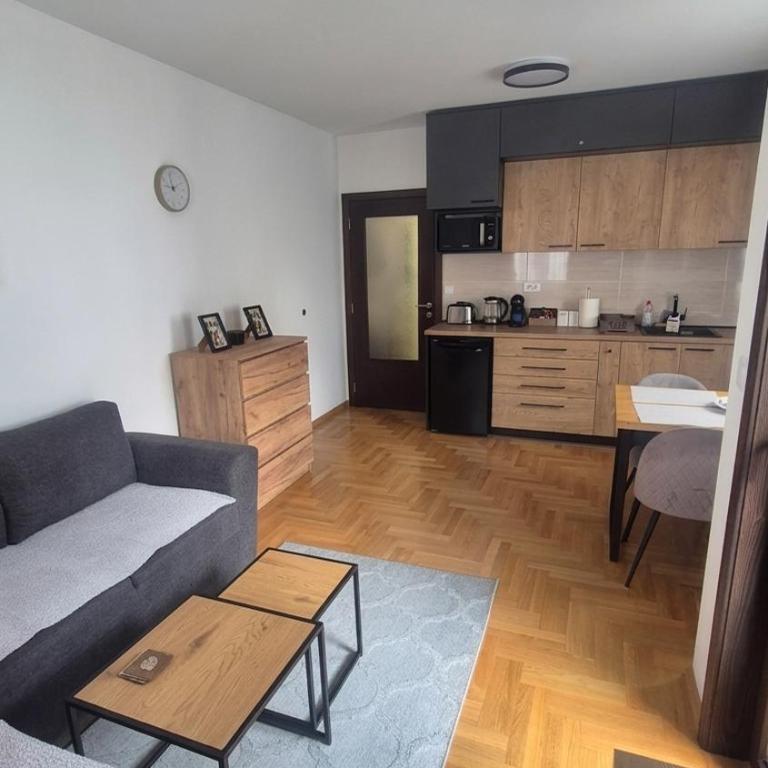 SiM Apartman Vrnjačka Banja - Apartman sa 1 Spavaćom Sobom - 2