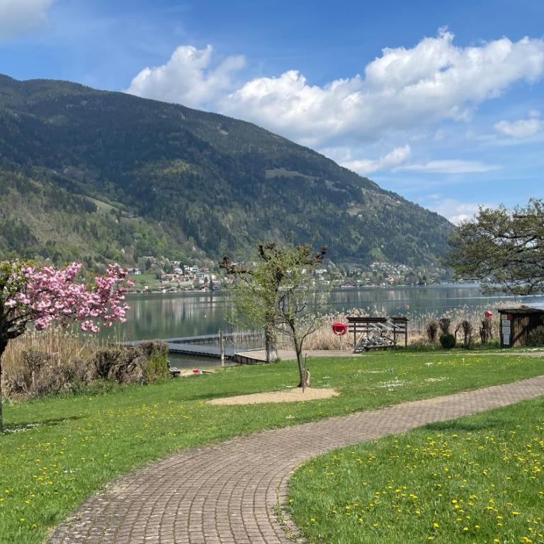 Apartment Landskron am Ossiachersee - Apartment mit 1 Schlafzimmer - 17