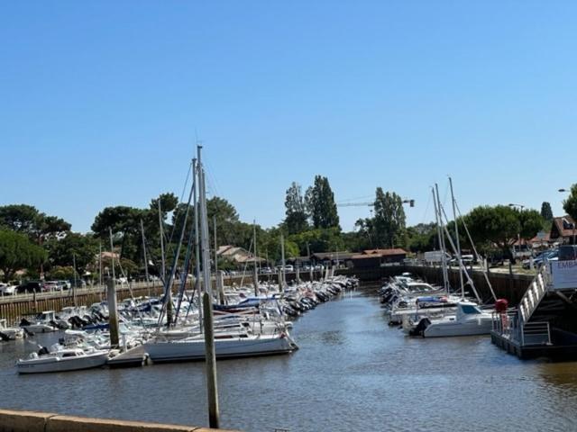 Villa cosy avec SPA - Plage à pied -Gujan-La Hume - Villa - 57