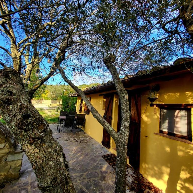 La Limonaia Cortona - Casa con 2 Camere da Letto - 21