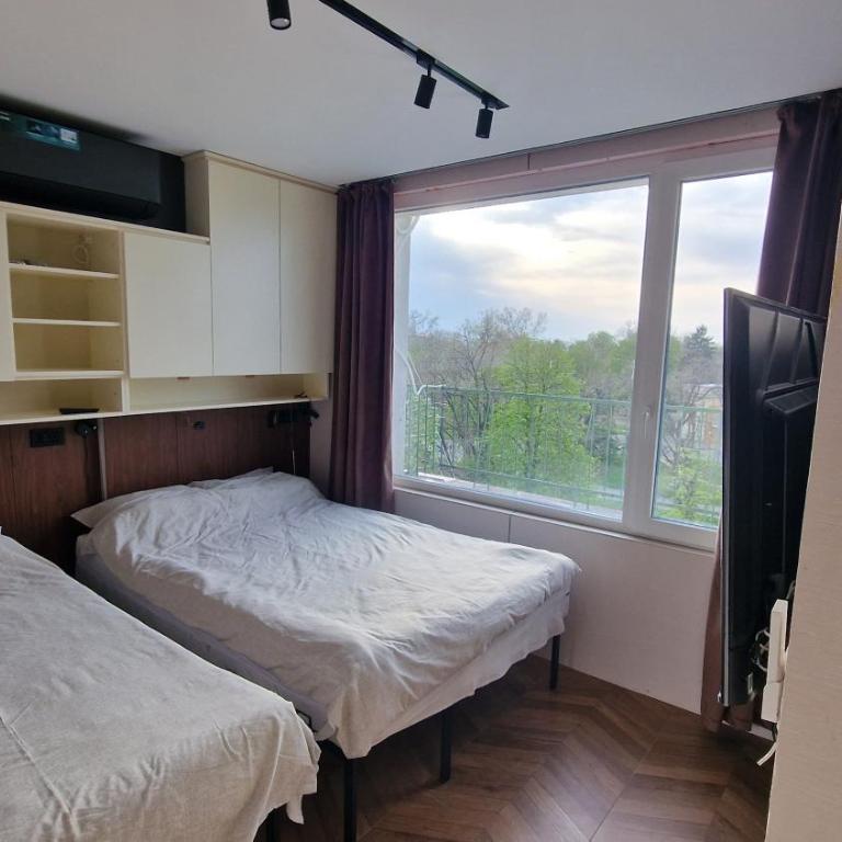 Penthouse apartment Belgrade - Two-Bedroom Apartment - 22