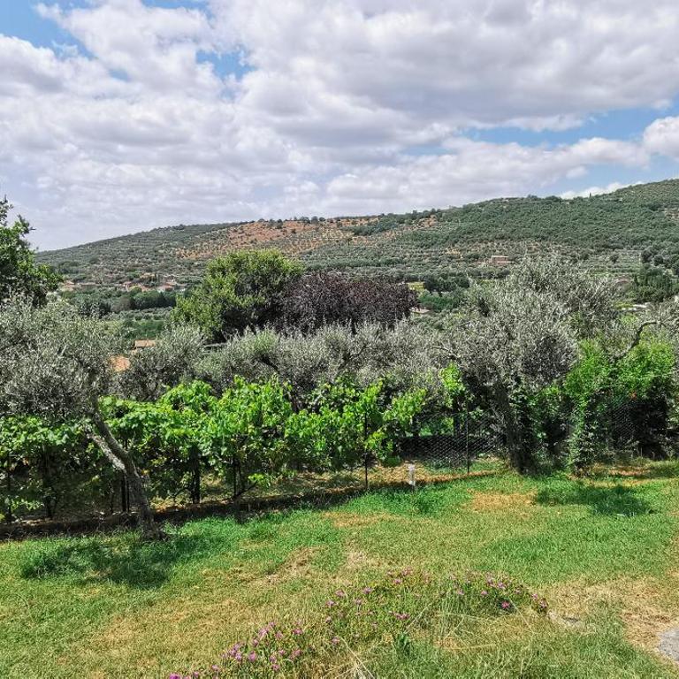 La Limonaia Cortona - Casa con 2 Camere da Letto - 36