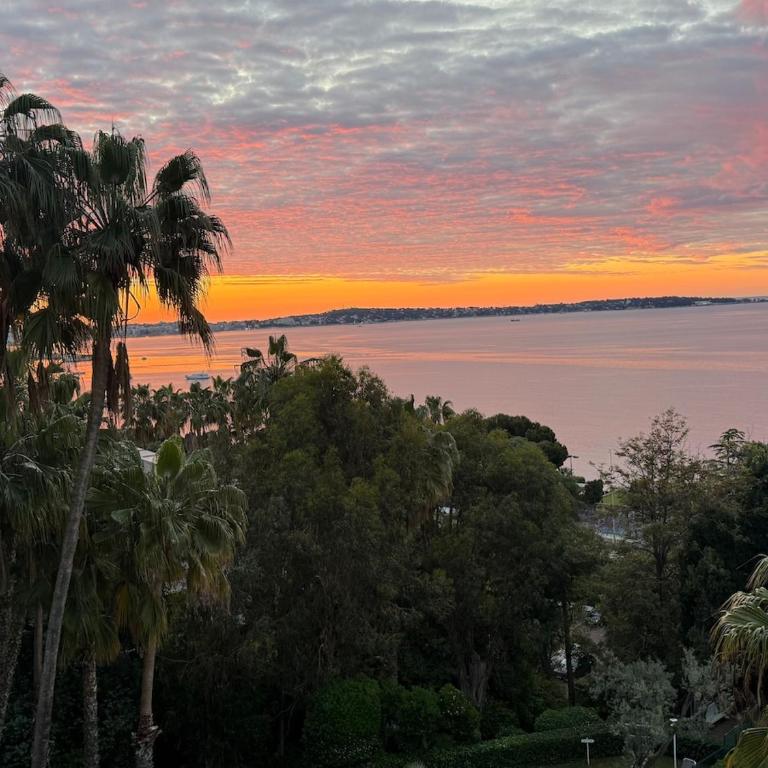 100m2 - Cannes Eden - Luxuous 3 Bedrooms - Swimming Pool - Appartement - Vue sur Mer - 25