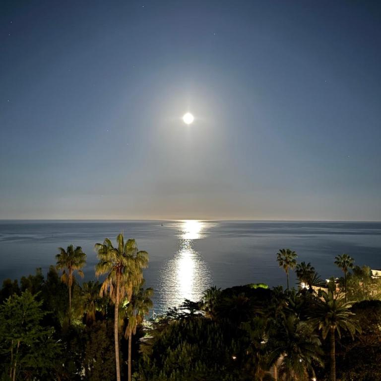 100m2 - Cannes Eden - Luxuous 3 Bedrooms - Swimming Pool - Appartement - Vue sur Mer - 27