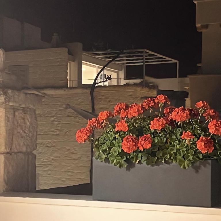 Il Nido tra le Mura Polignano - Casa con 2 Camere da Letto - 40