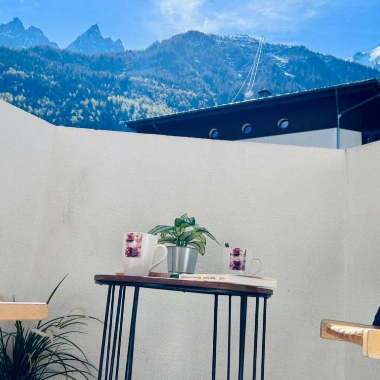 Nice flat Aiguille du Midi with balcony - Apartment - 15