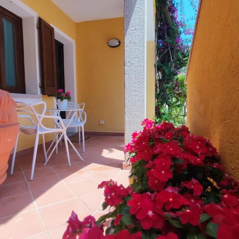 Vista mare spettacolare con terrazza a 2 minuti dalla spiaggia - Casa Vacanze - 56