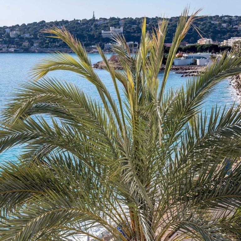 LE DAUPHIN Vue exceptionnelle - Clim - Front Mer - Appartement - 31