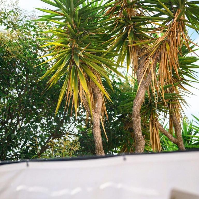 VILLA JULIA Calme Spacieux - Parking Privé - Clim - Apartamento - 34