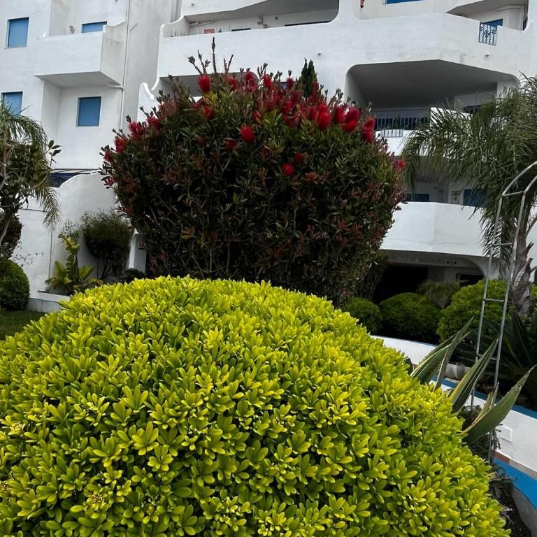 Perlazul - Apartamento con terraza - 24