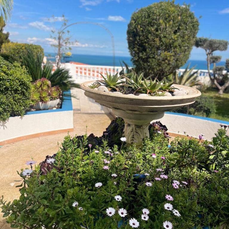 Perlazul - Apartamento con terraza - 23