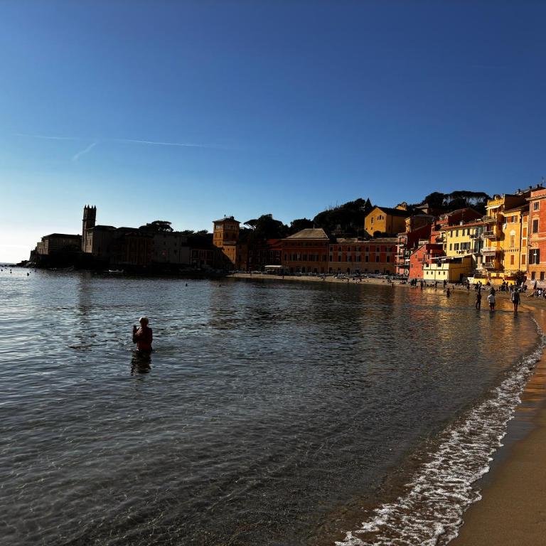 Appartamento frontemare con terrazzo - Appartamento con Vista Mare - 25