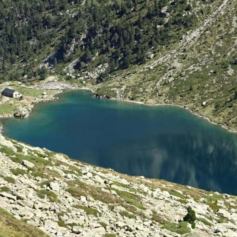 Appart Cauterets Les Campanules piscine rando velo - Appartamento con 1 Camera da Letto - 1