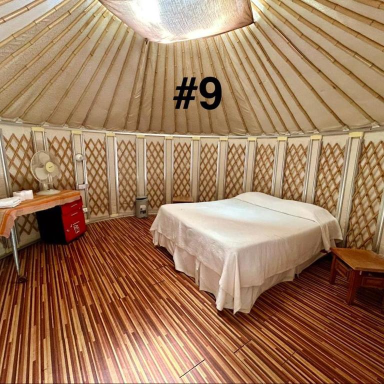 Loma Sanchez - Deluxe Room - 3