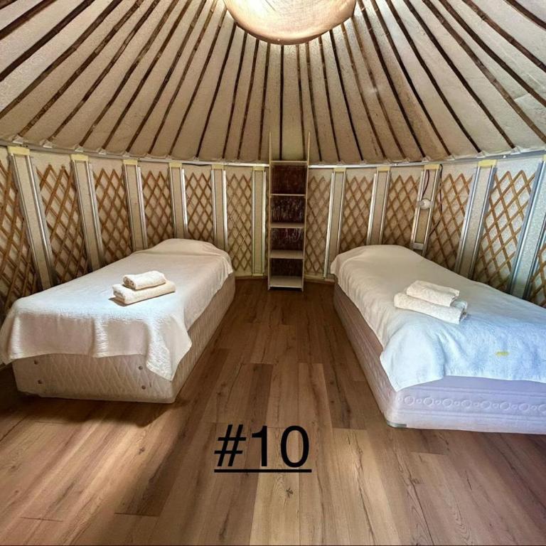 Loma Sanchez - Twin Room - 3