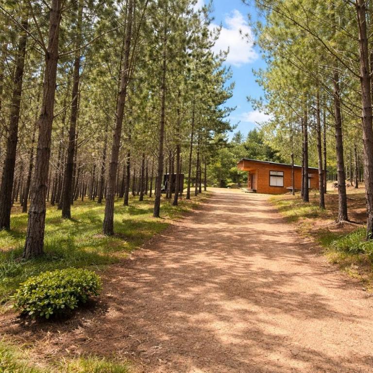 Refugio bosque - Two-Bedroom House - 3