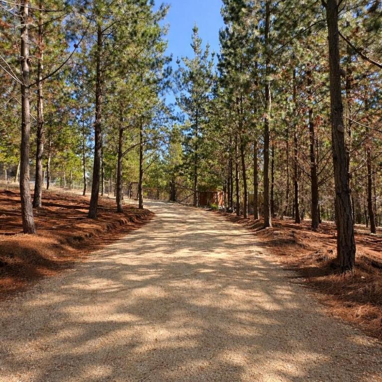 Refugio bosque - Casa de 2 dormitorios - 5