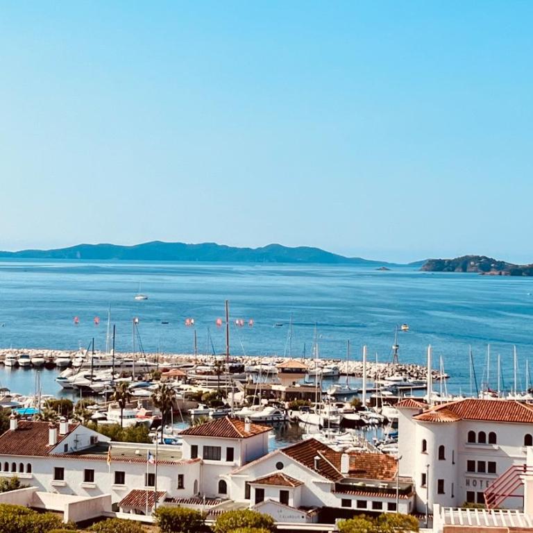 Grand studio 28m2 terrasse vue mer 180 - Plein Sud - Piscine - clim - Parking - Appartement 1 Chambre de Luxe - Vue sur Port - 9