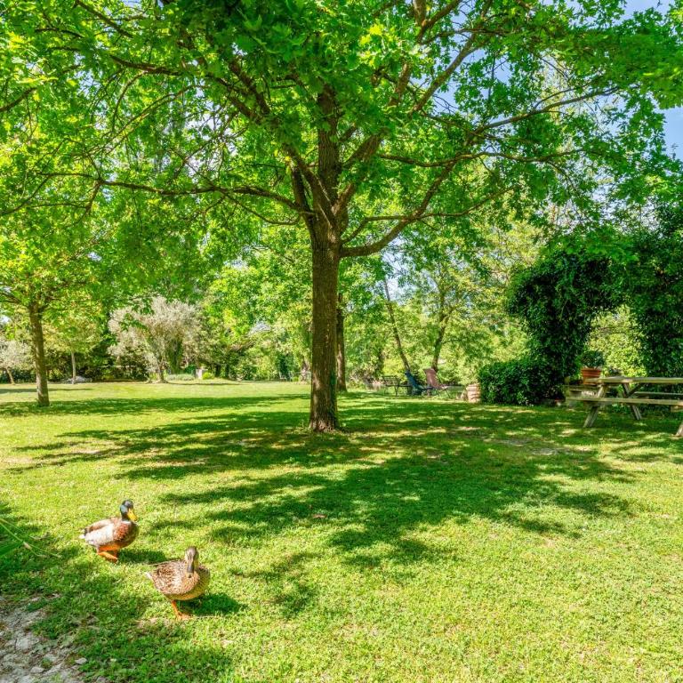 La Tonnelle - One-Bedroom Apartment with Garden View - 18