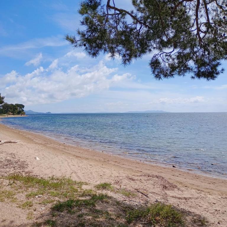 T3 Cozy au bord de mer - Apartment mit 2 Schlafzimmern - 8