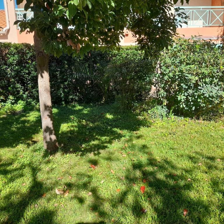 T3 Cozy au bord de mer - Apartment mit 2 Schlafzimmern - 11