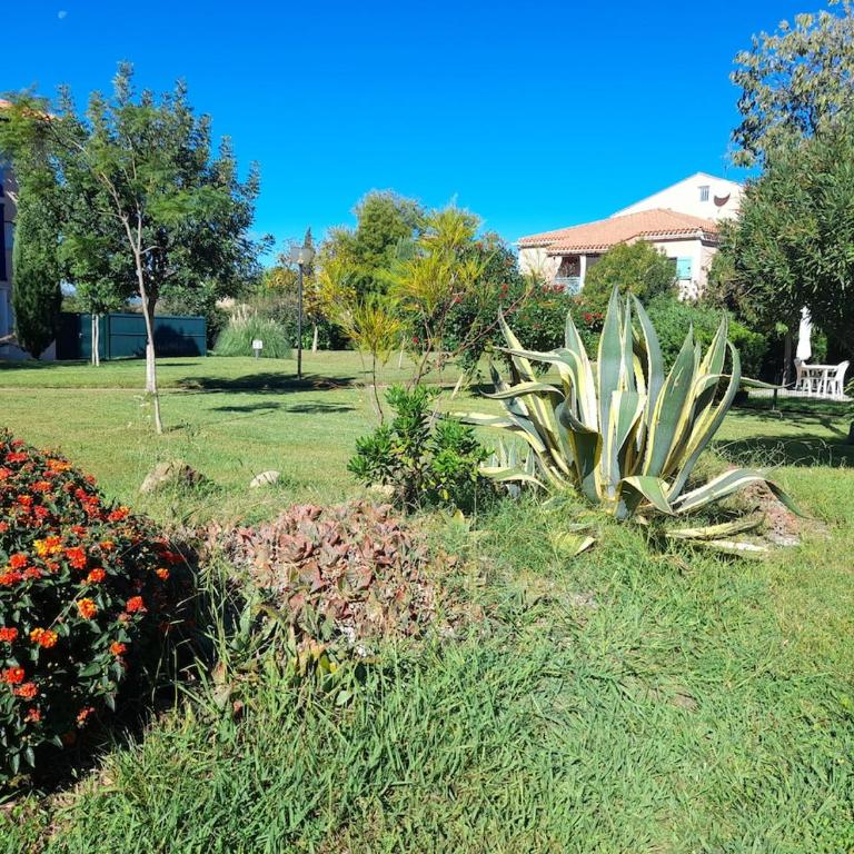 T3 Cozy au bord de mer - Apartment mit 2 Schlafzimmern - 18