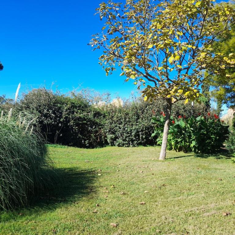 T3 Cozy au bord de mer - Apartment mit 2 Schlafzimmern - 22