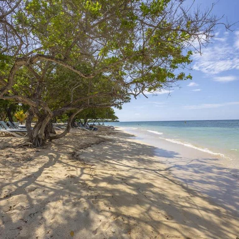 Seaside 3br retreat w terrace & beach access u206 - Apartment - 22